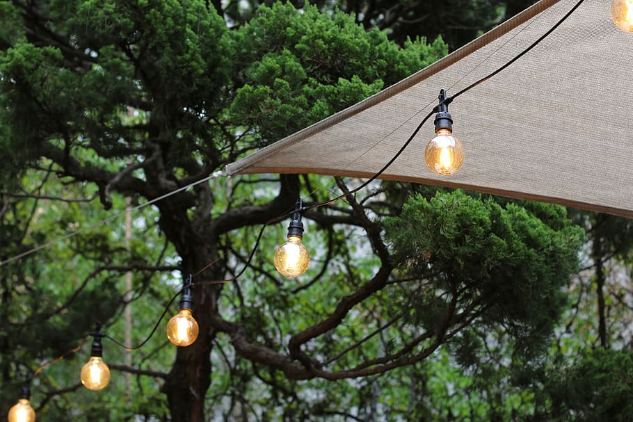 lamp, light, tree, plant, lighting equipment, illuminated, light bulb HD wallpaper