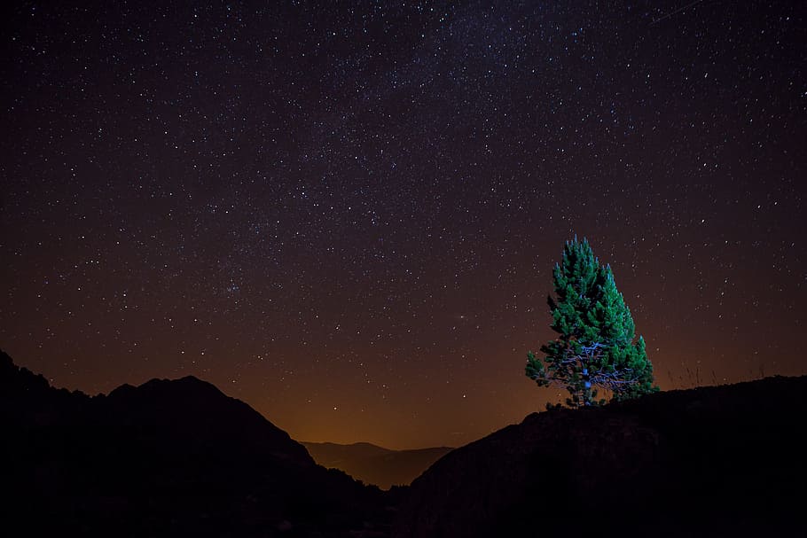 tree on top of hill under starry sky, night, forest, lake, star - Space HD wallpaper