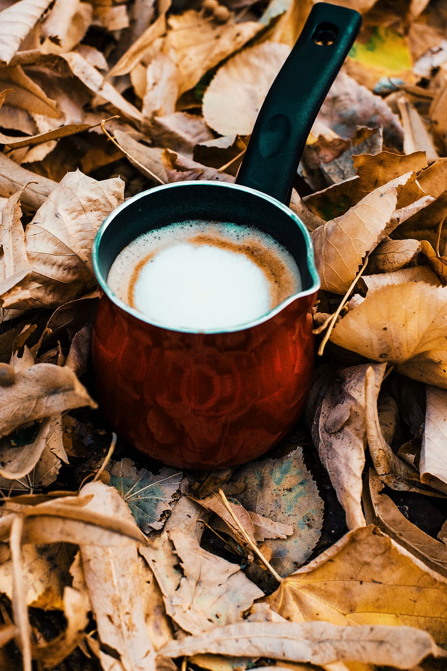 Brown Turkish Cup on Dry Leaves, close-up, coffee, foam, hot HD wallpaper