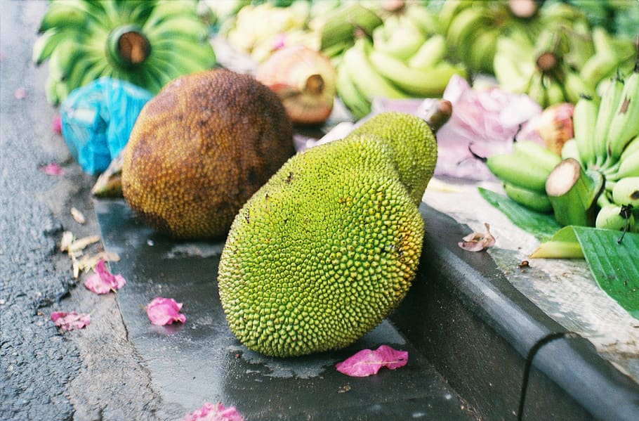 HD wallpaper: plant, fruit, produce, food, jackfruit, durian ...
