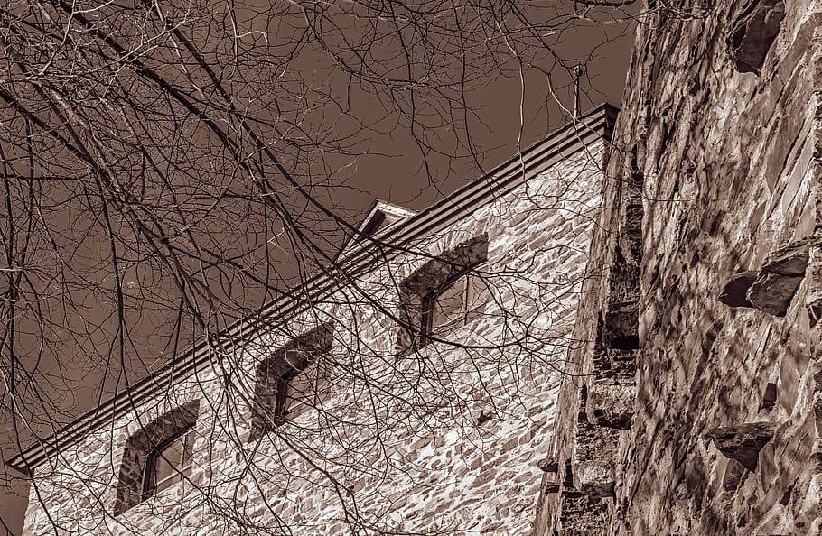 wall, facade, historically, stone, stone wall, tree, branches HD wallpaper