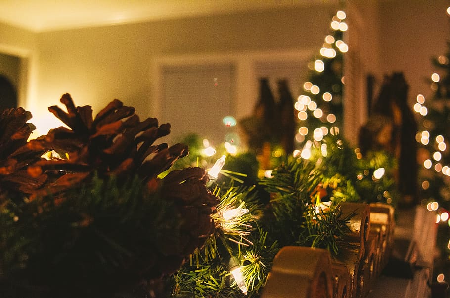 Christmas tree with string lights, celebration, decoration, illuminated HD wallpaper
