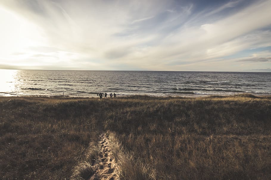 people by the beach under white clouds, nature, water, outdoors HD wallpaper