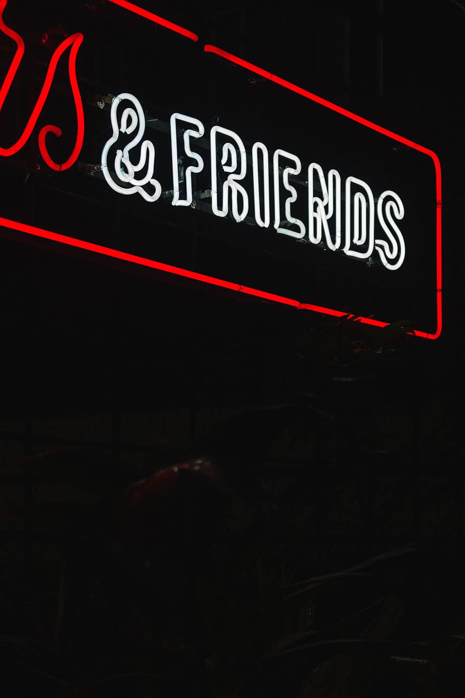 & FRIENDS neon sign, letter, advice, music, black, night, plant