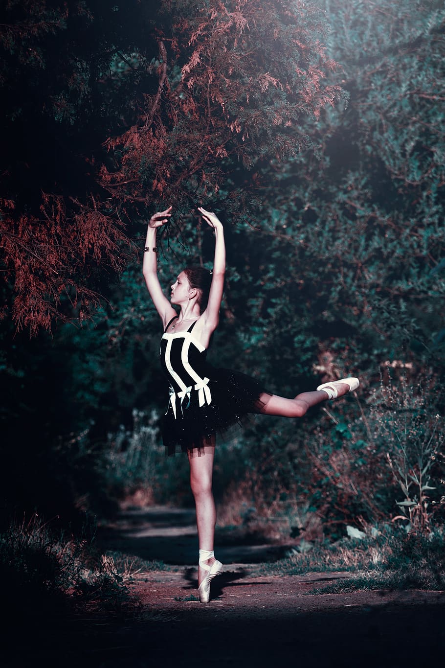 Dancing Ballerina With Green Leafed Trees Background, ballet dancer HD wallpaper