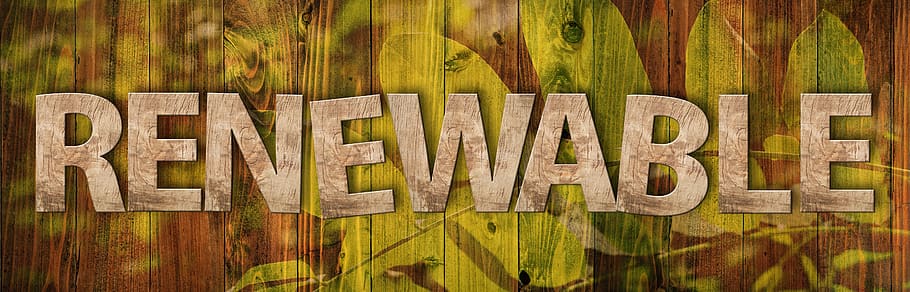 renewable, tree, aesthetic, ecology, environment, boards, forward HD wallpaper