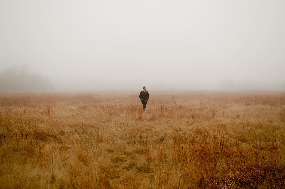 man walking surrounded by brown grass, nature, weather, fog, outdoors, HD wallpaper
