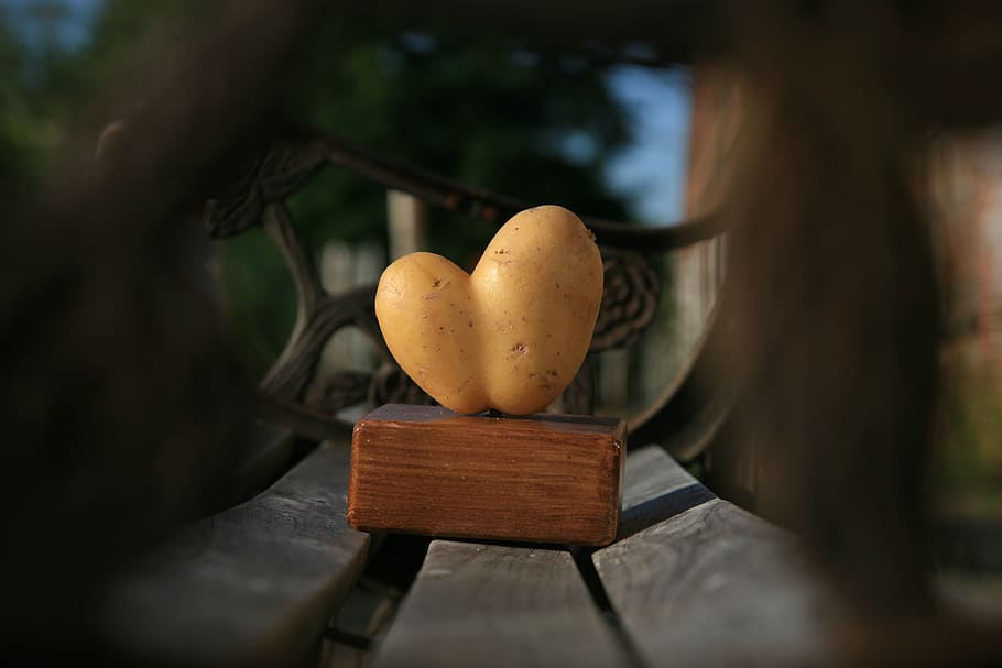 potato, heart, hand, vegetables, eat, nutrition, food, harvest HD wallpaper