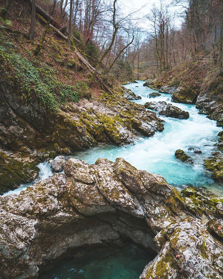 flowing lake surrounded with trees, water, rock, rock - object HD wallpaper