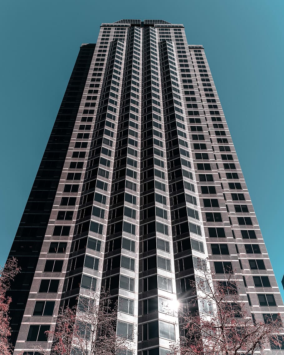 High Rise Building, architecture, downtown, low angle shot, perspective HD wallpaper