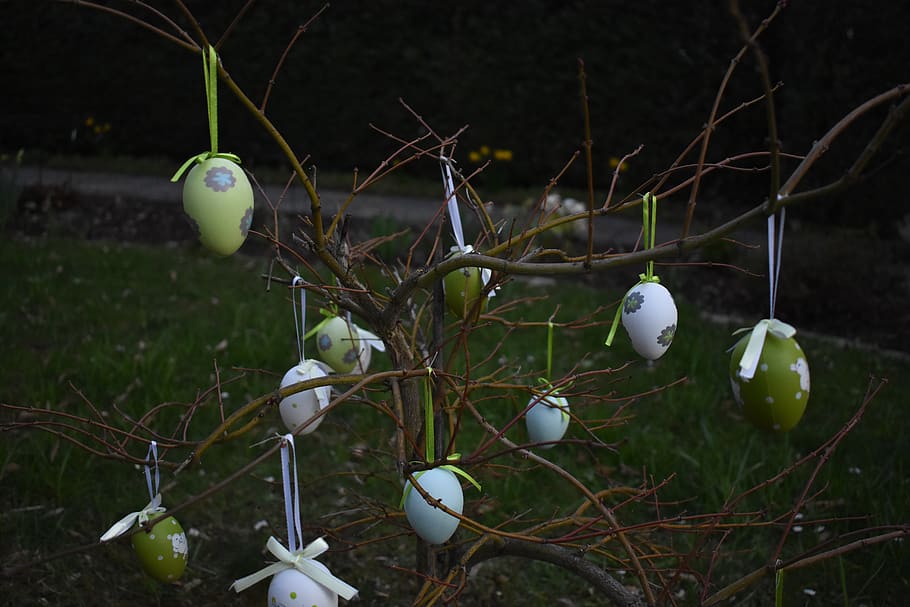 easter, spring, nature, egg, plant, no people, food, day, food and drink HD wallpaper