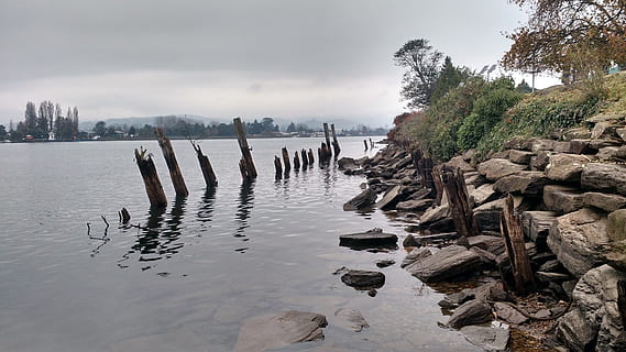 chile, valdivia, rivers, water, tree, nature, sky, plant, day HD wallpaper