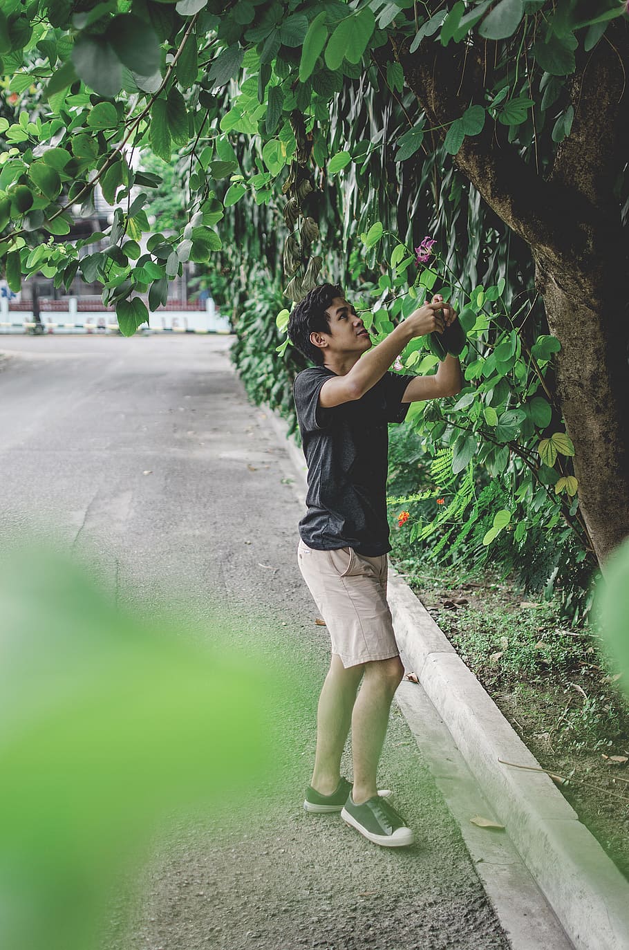 Man Standing Under Tree, daylight, fun, leaves, leisure, lifestyle HD wallpaper