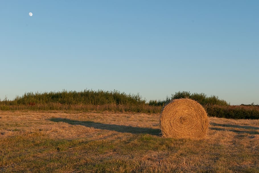 boot, fields, sunset, nature and wildlife, twilight, straw HD wallpaper