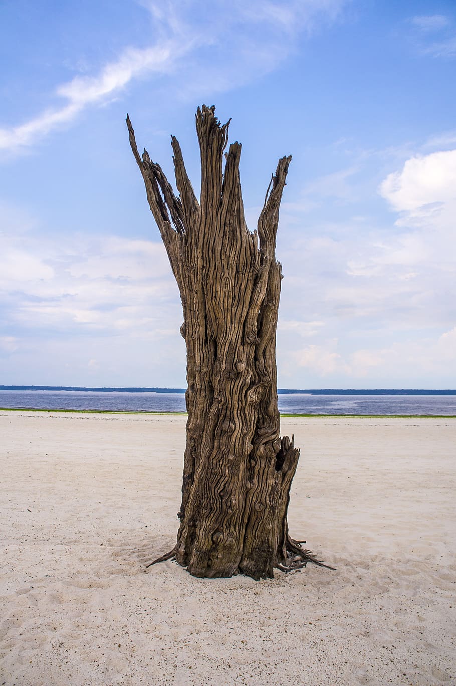 exotic, beach, tropical, sand, nature, island, trees, travel HD wallpaper