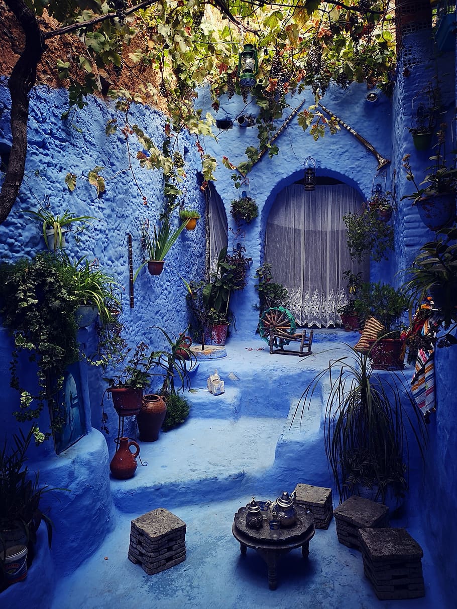 morocco, garden, blue, authentic, chefchaouen, architecture, HD wallpaper
