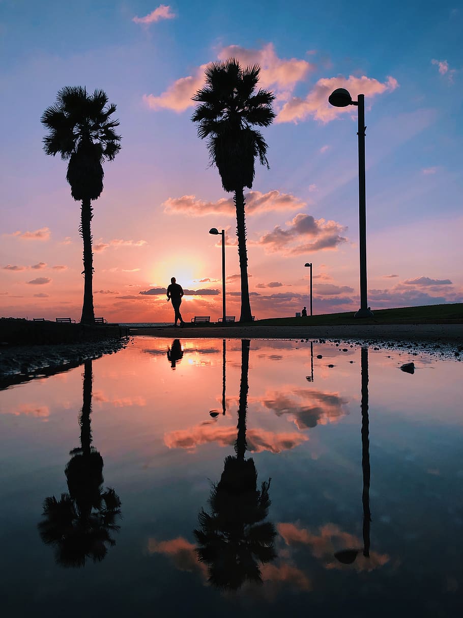 reflection, trees, sunset, beach, portrait, run, nature, clouds HD wallpaper