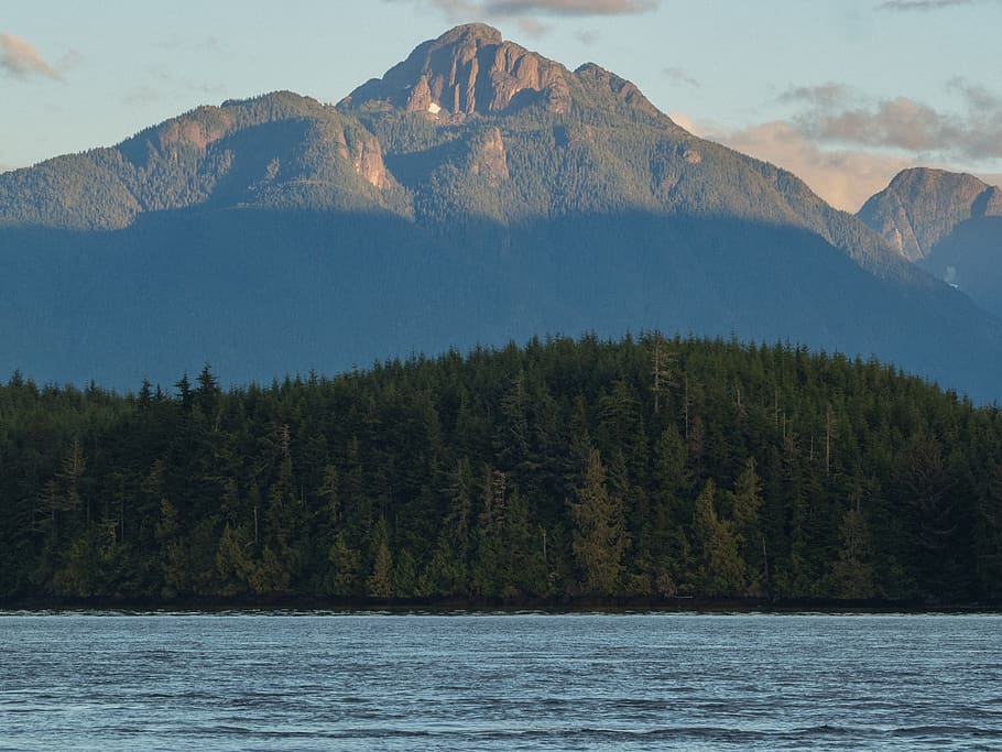 trees, mountain, forest, sea, british columbia, canada, vancouver island HD wallpaper