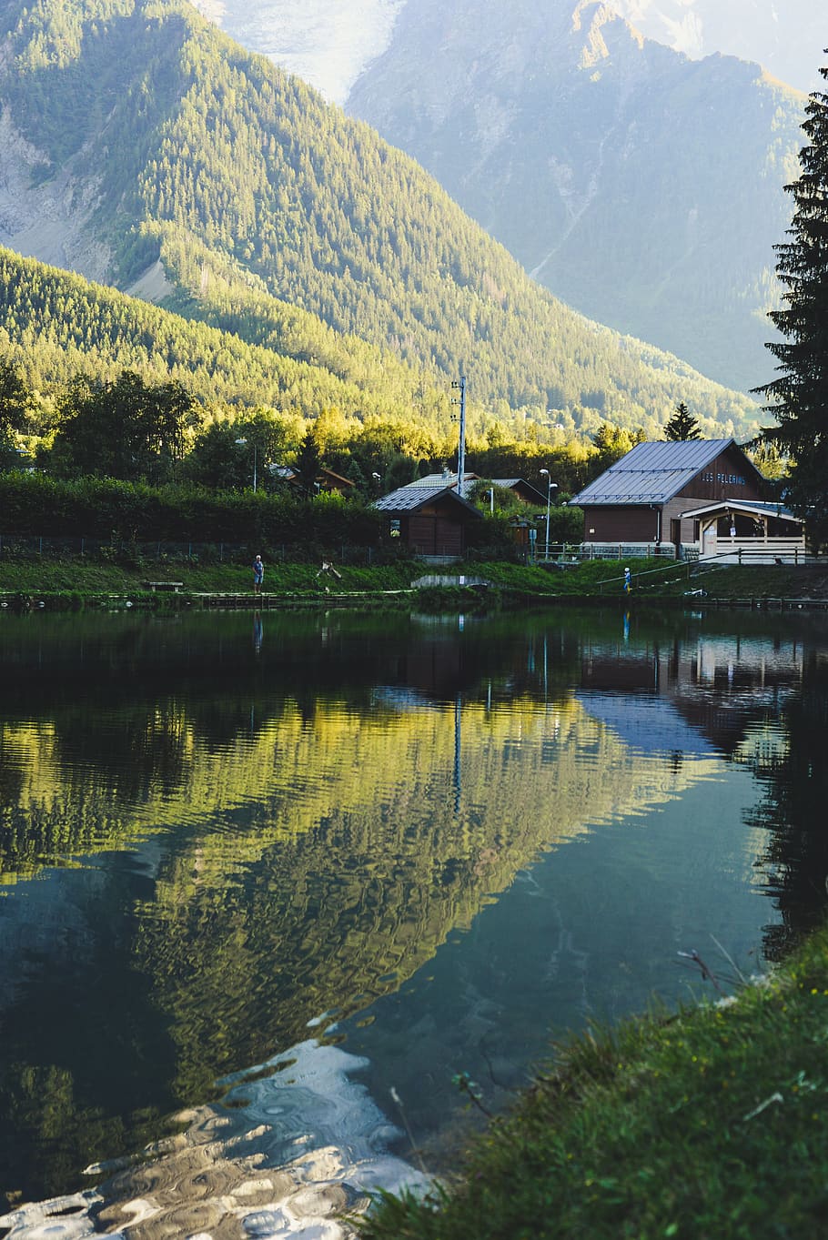 lake in forest, nature, outdoors, building, housing, fir, abies HD wallpaper