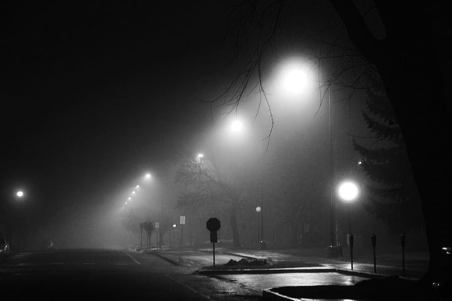 Fog night street light