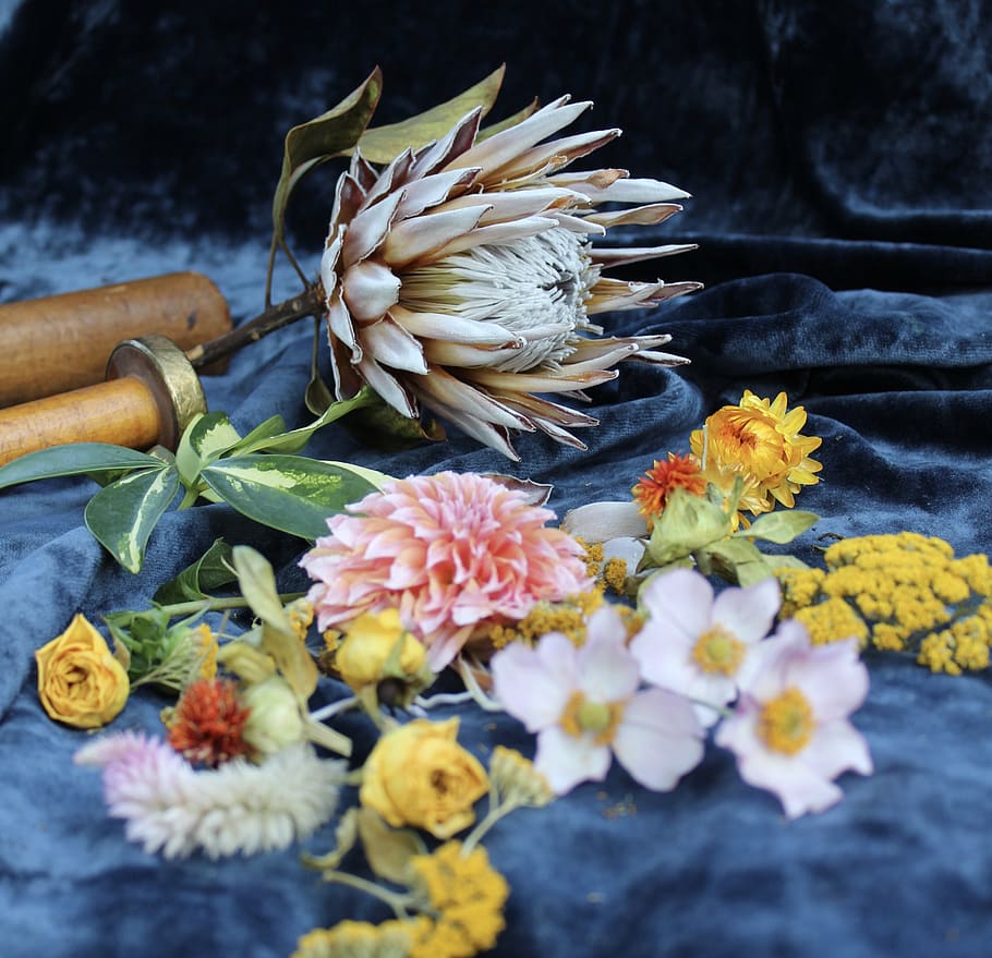 assorted-color petaled flowers, plant, blossom, leaf, flower arrangement HD wallpaper