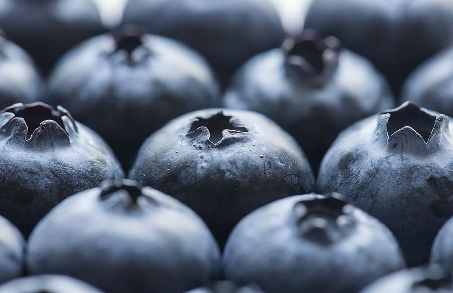 antioxidant, background, berry, blue, blueberry, closeup, delicious HD wallpaper