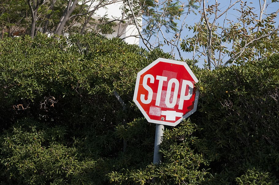 red and white Stop sign board, symbol, road sign, stopsign, word