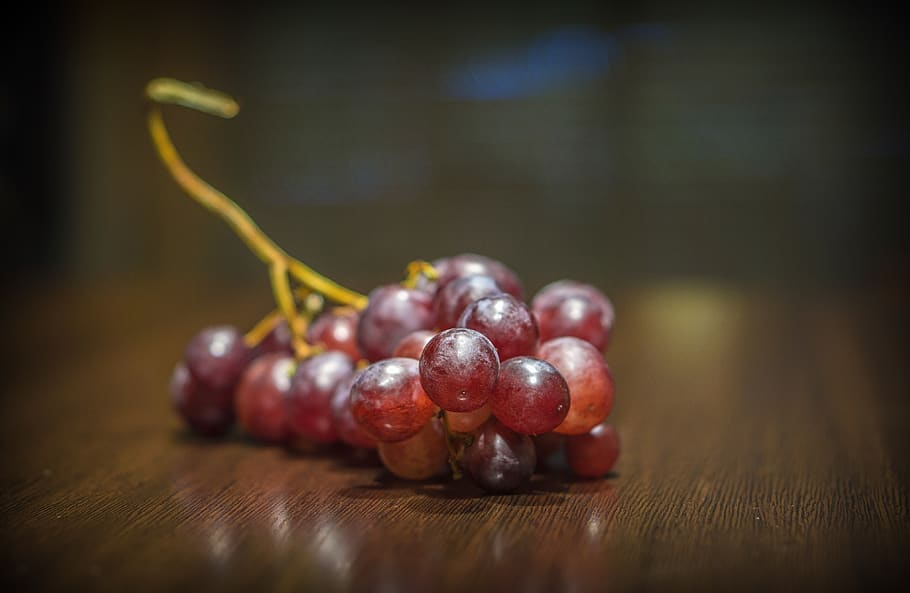 grape, fruit, vine, wine, food, healthy, vineyard, summer, agriculture HD wallpaper