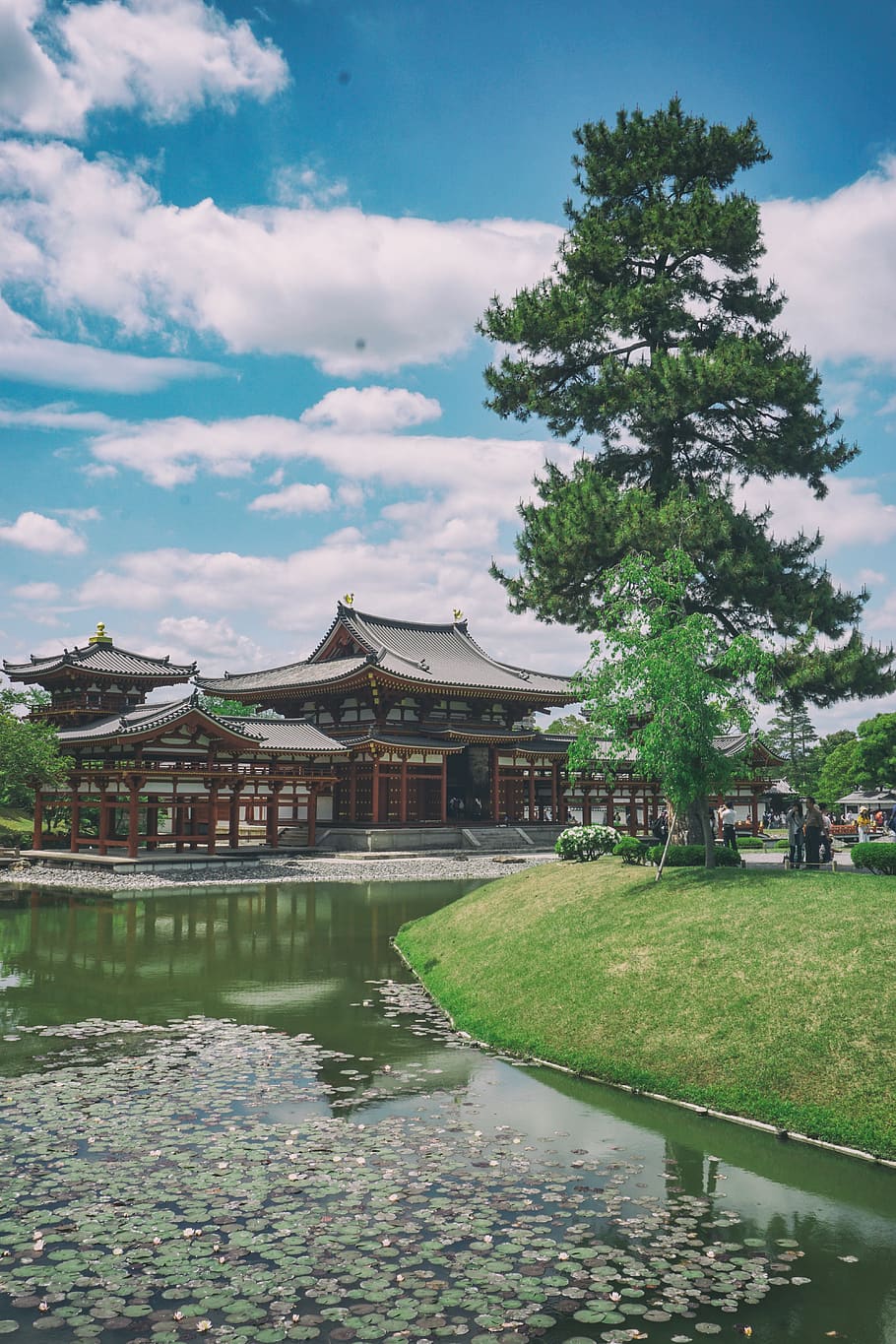 japan, uji-shi, 宇治神社 uji shrine, built structure, architecture, HD wallpaper