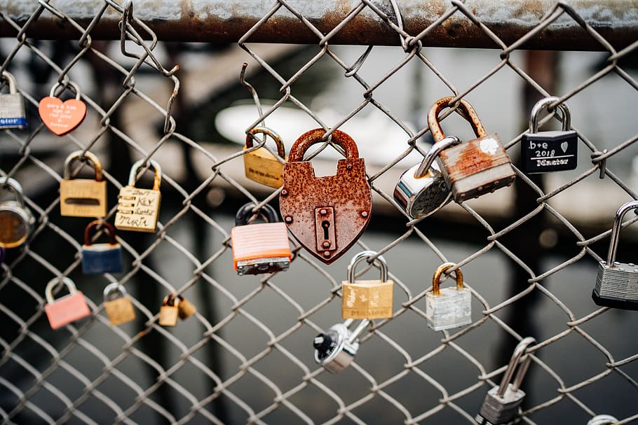padlocks on fence, safety, security, protection, barrier, boundary HD wallpaper