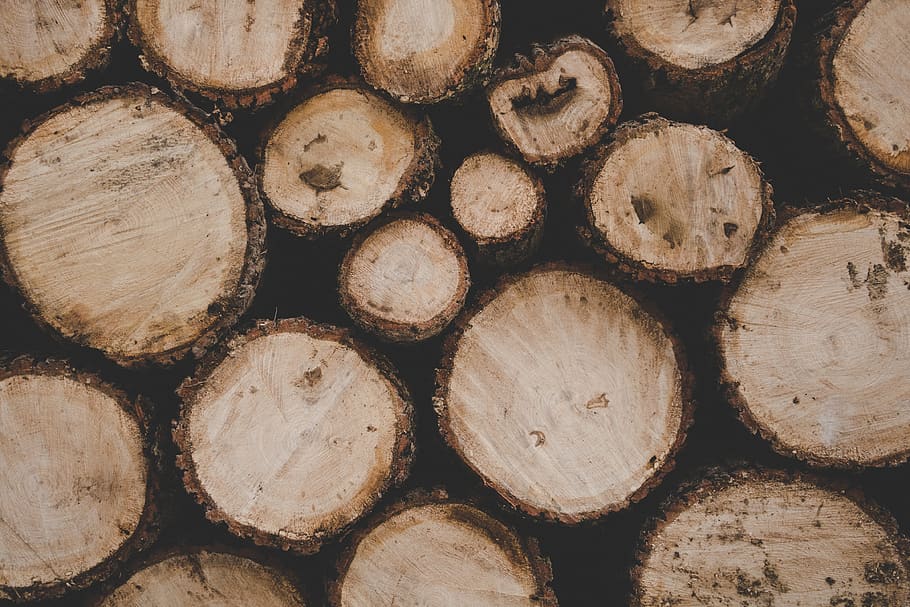 Brown Logs, cut, pile, stacks, tree log, wood, wooden, woodpile HD wallpaper