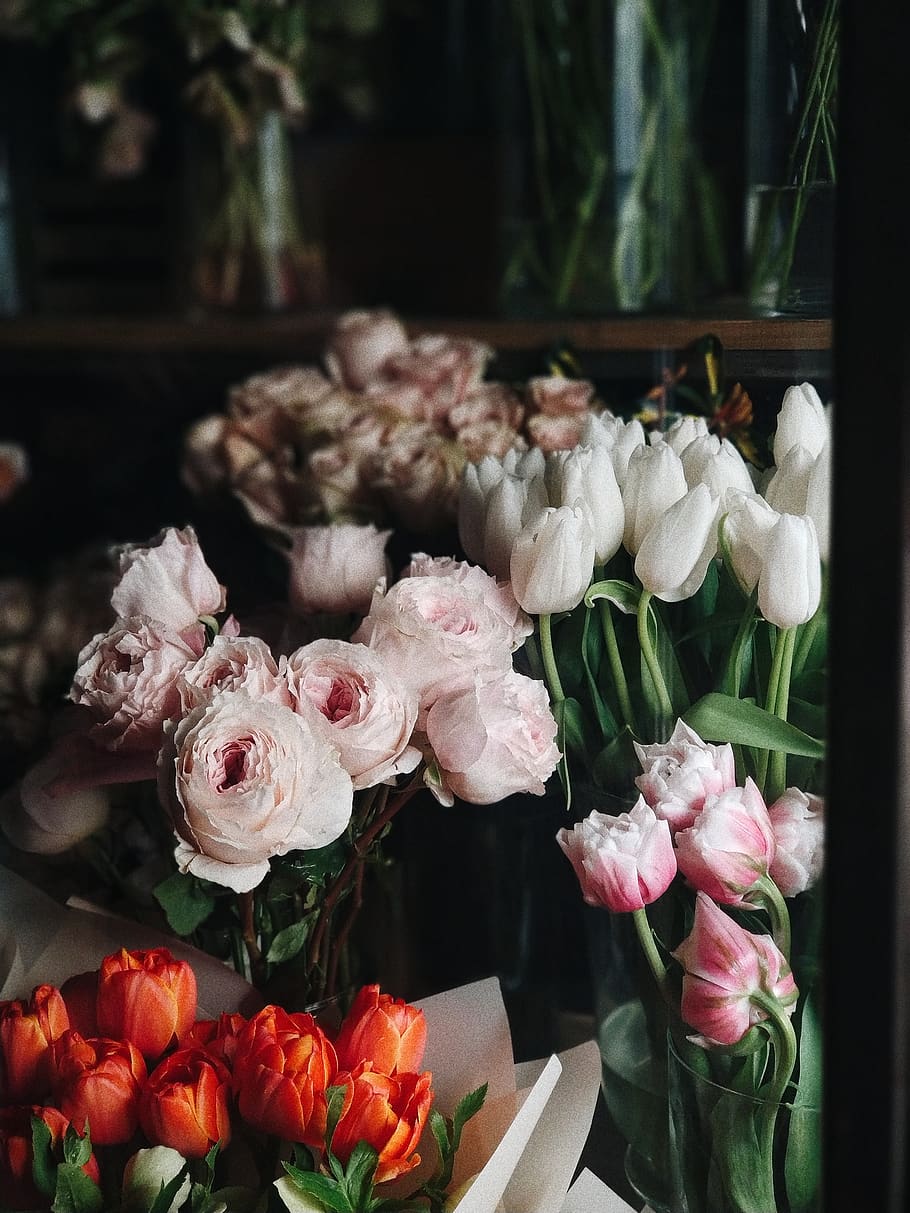 assorted flower lot, flowering plant, freshness, vulnerability HD wallpaper