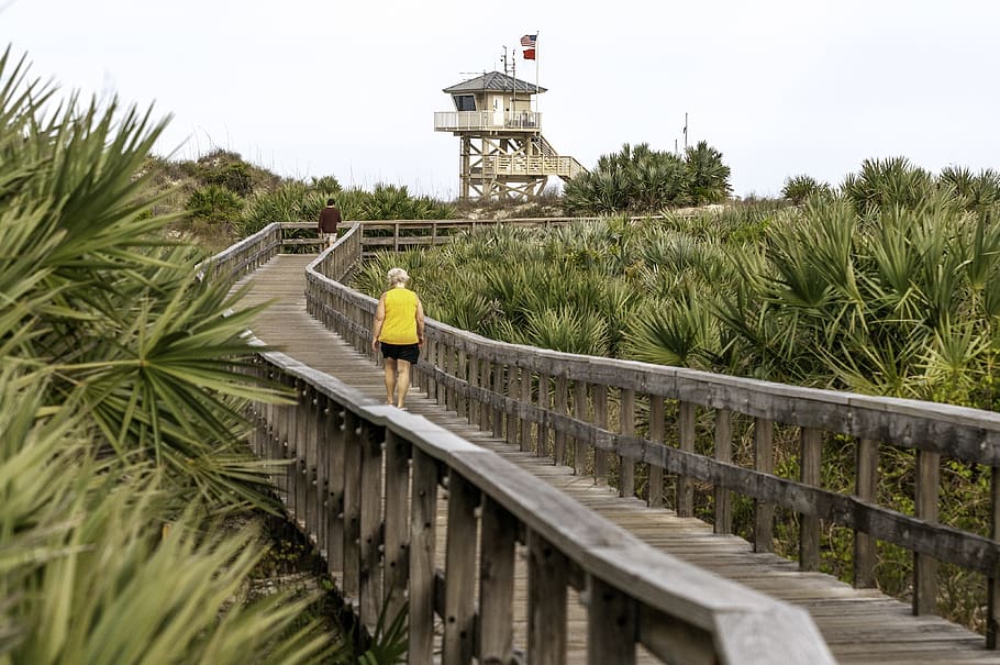 away, path, wooden, track, beach, plant, architecture, built structure HD wallpaper