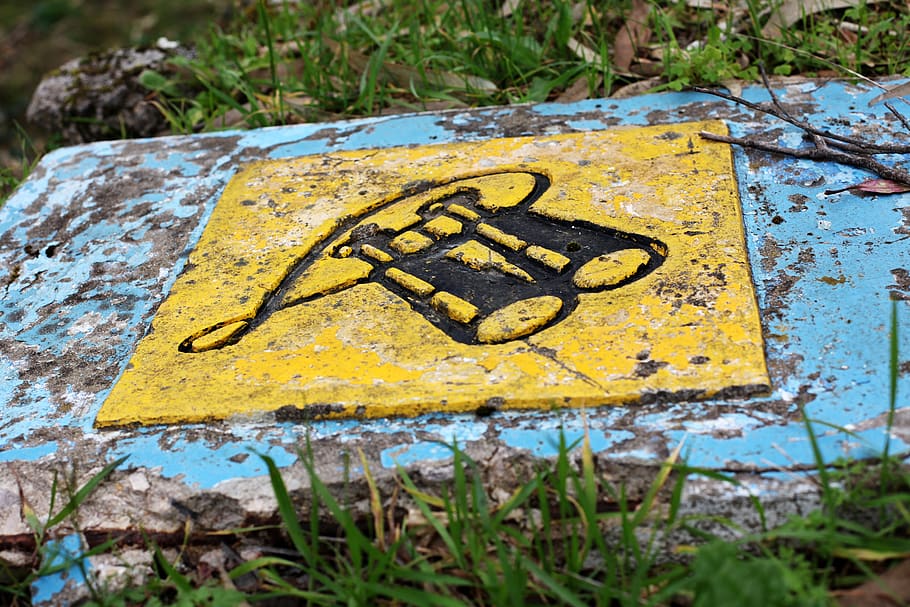 sign, way, communication, yellow, text, day, no people, plant HD wallpaper