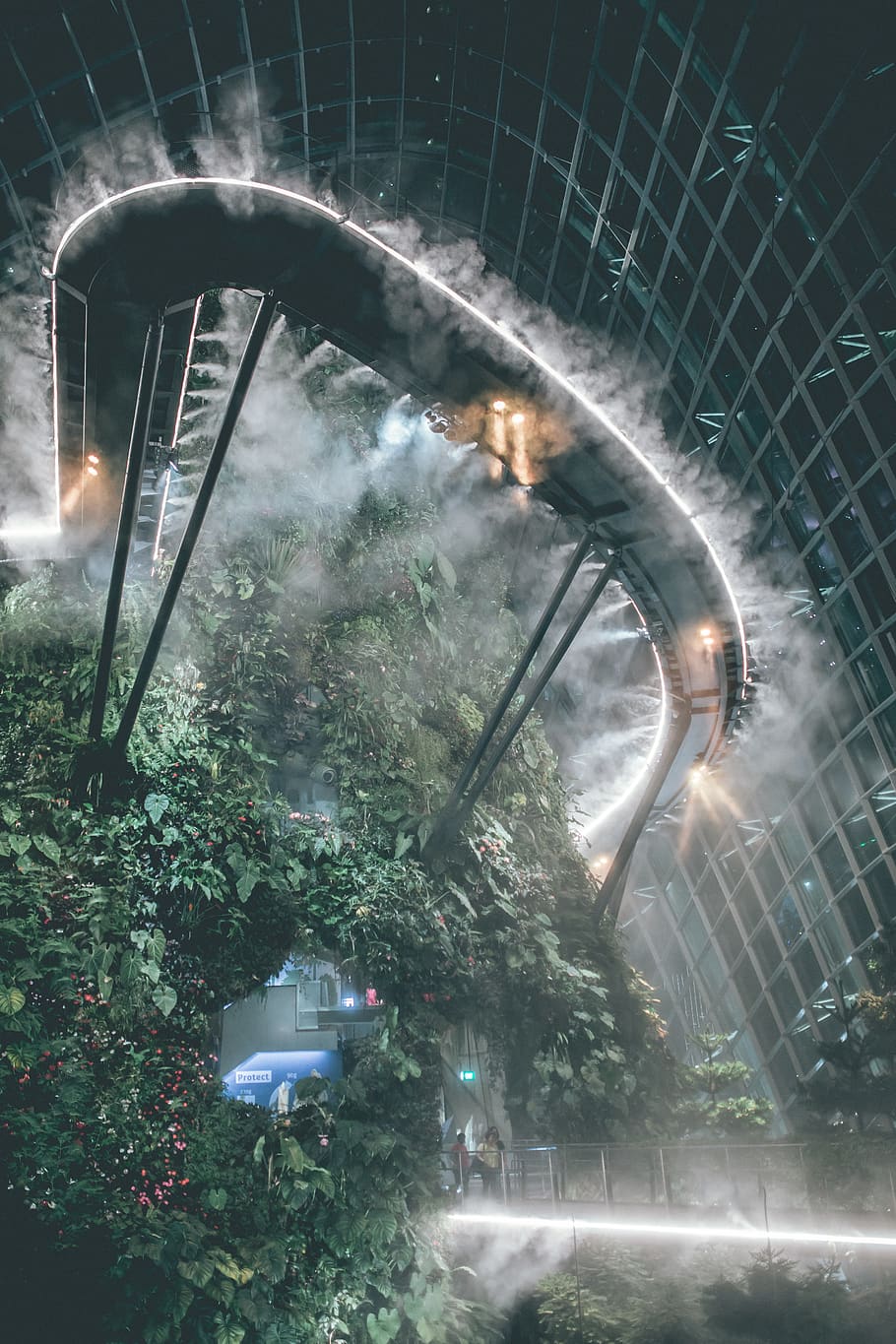 green-leafed plants, illuminated, no people, night, architecture HD wallpaper