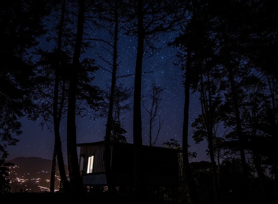 brown house surrounded by trees during nighttime \, nature, outdoors HD wallpaper