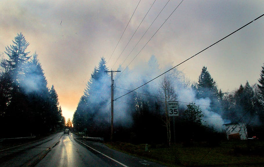 Roads Surrounded With Trees, clouds, dark, dawn, environment HD wallpaper