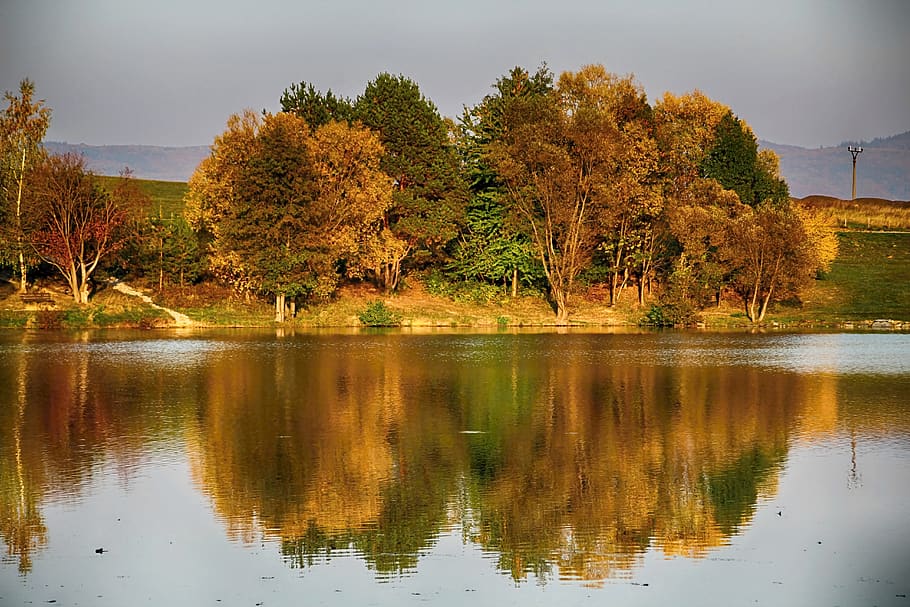 dam, autumn, sunset, reflection, tree, water, plant, lake, beauty in nature HD wallpaper