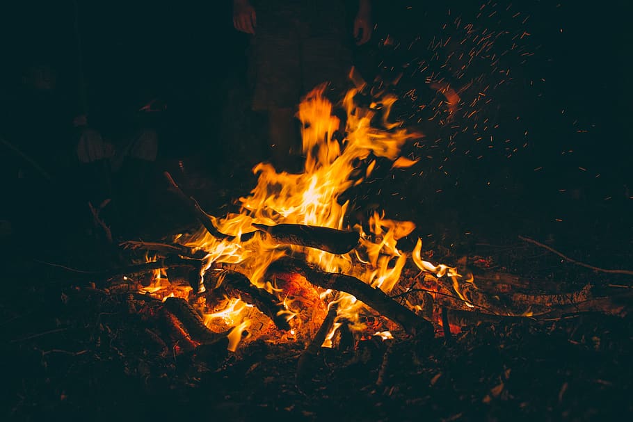 still, camp, fire, flames, hot, burning, wood, charred, ashes HD wallpaper