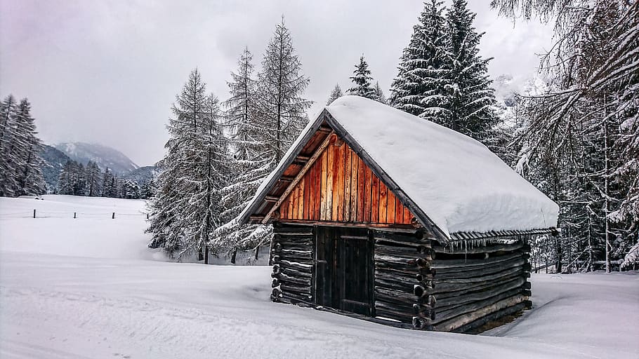 winter, snow, forest, cold, austria, alpine, hut, wintry, idyll HD wallpaper
