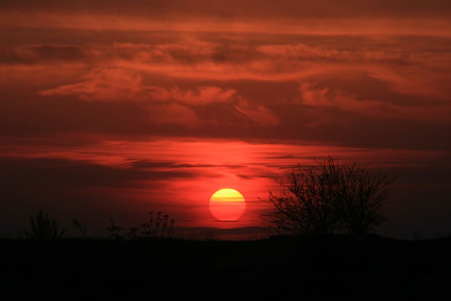 sun, sunset, nature, red, sky, scenics - nature, beauty in nature HD wallpaper