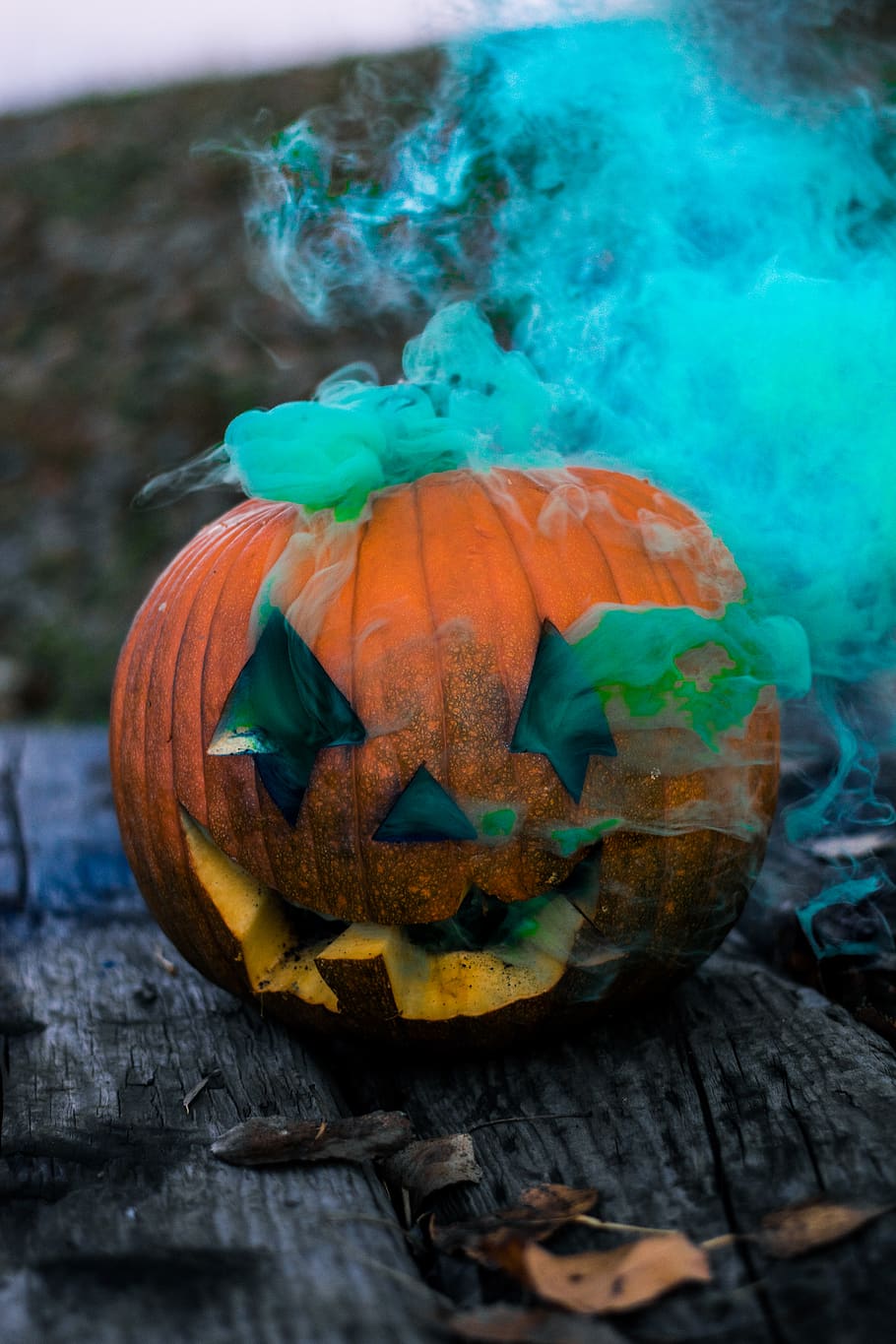 jack o' lantern on table, halloween, pumpkin, celebration, food HD wallpaper