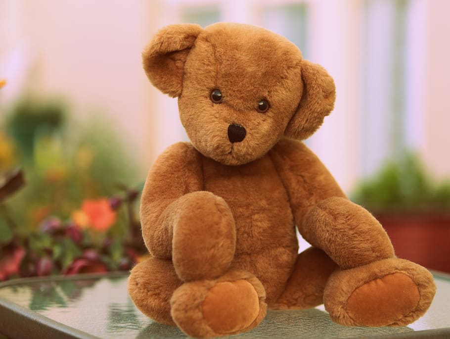 brown bear plush toy, stuffed toy, teddy bear, childhood, close-up HD wallpaper