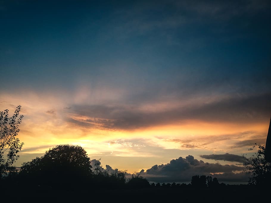 trees, blue, clouds, sun, sunset, blue sky, cloud - sky, plant HD wallpaper