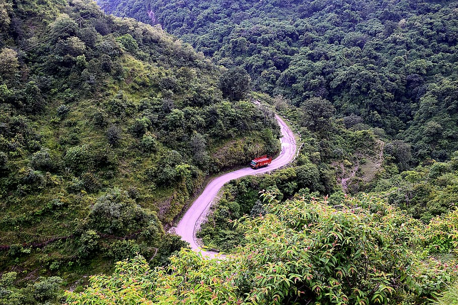 hill, road, zigzag, landscape, nature, grass, sky, scenic, forest HD wallpaper