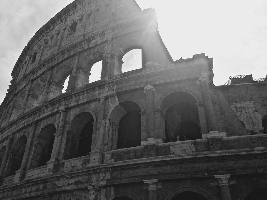 HD wallpaper: colosseum, italy, roma, black and white, rome, arch