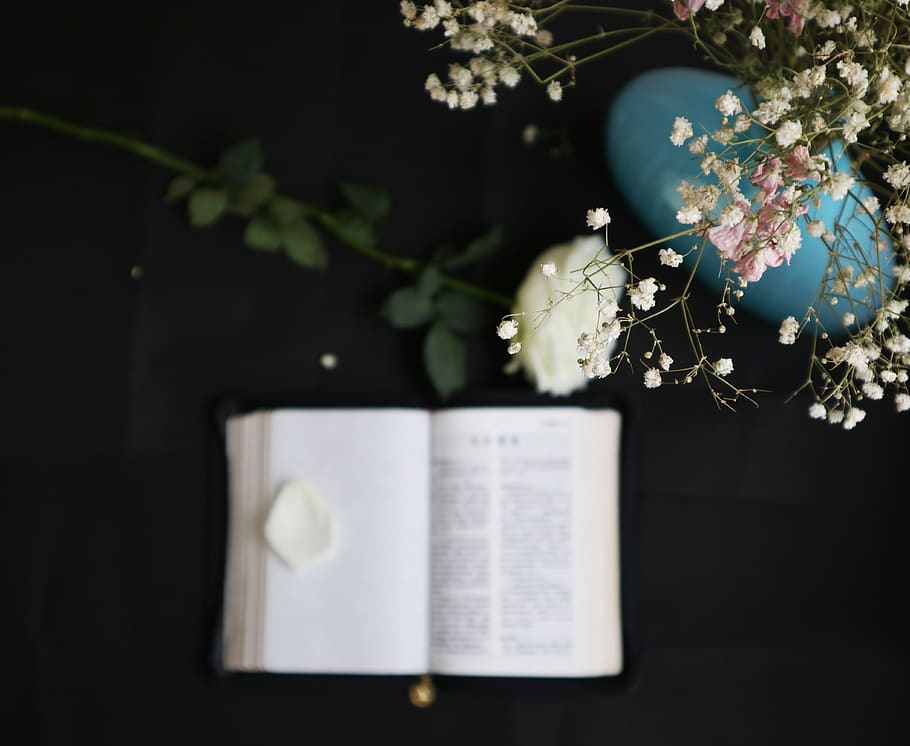 white book page on black surface, no people, plant, paper, nature HD wallpaper