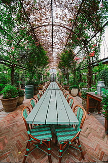 Green Wooden Table With Chairs, arch, dining area, flora, flowers HD wallpaper
