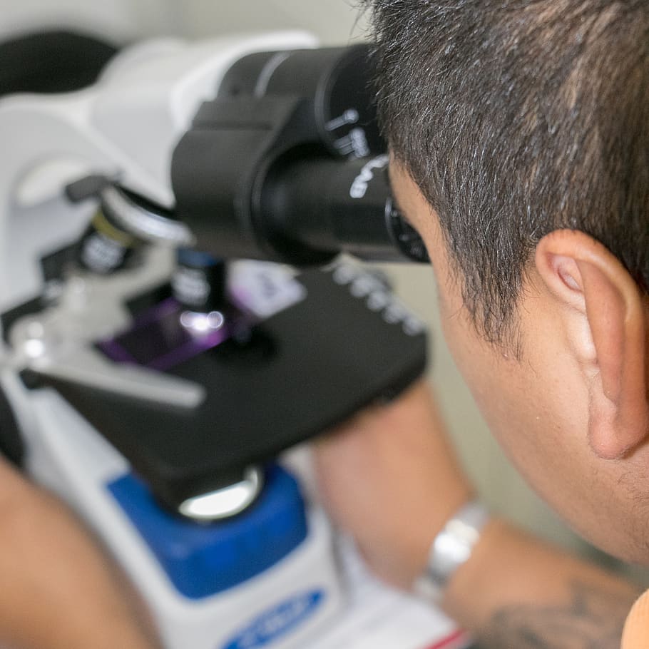 technology, microscope, research, microbiology, team, lab, analysis HD wallpaper
