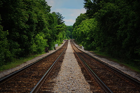 Brown Train Railway Between Green Trees at Daytime, curve, daylight HD wallpaper